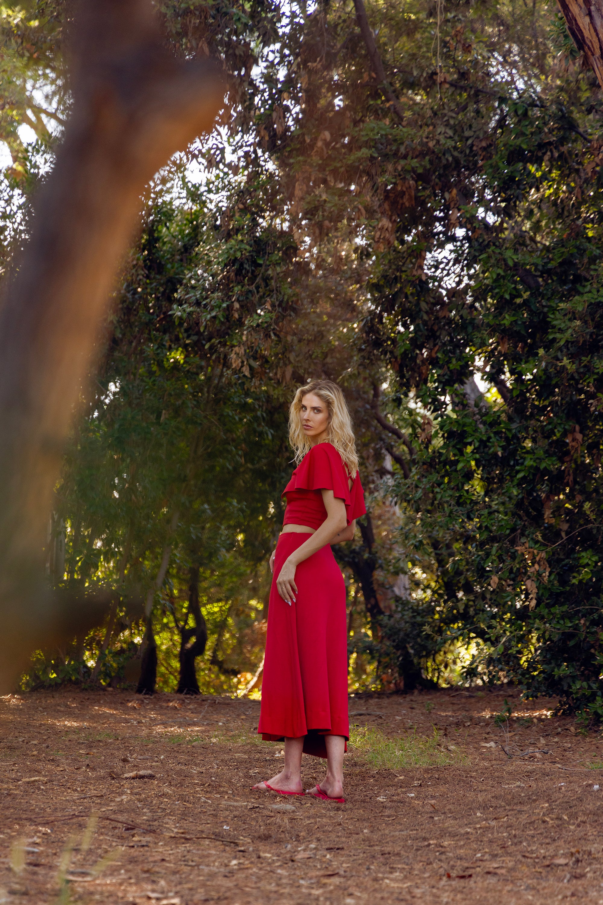 Amazônia Top Butterfly